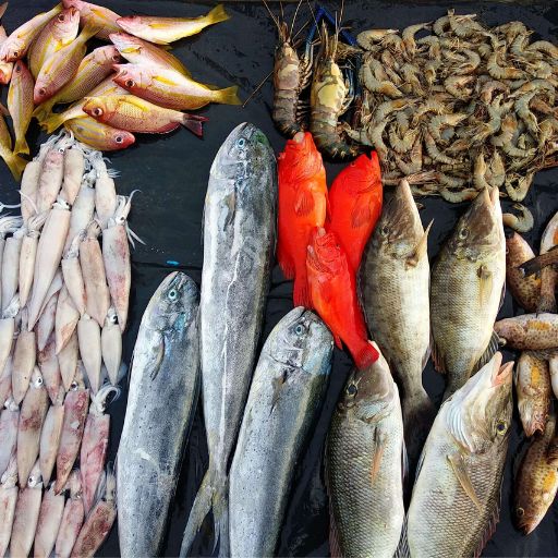 Pre-Order Seafood