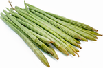 Load image into Gallery viewer, Drumstick Fresh