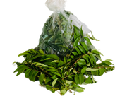 Curry Leaves (Karapincha) 1 lb(6 packets)