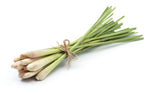 Load image into Gallery viewer, Frozen Lemon Grass (Sera)