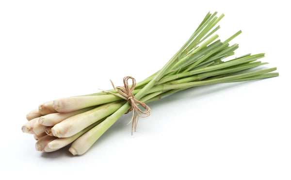 Frozen Lemon Grass (Sera)