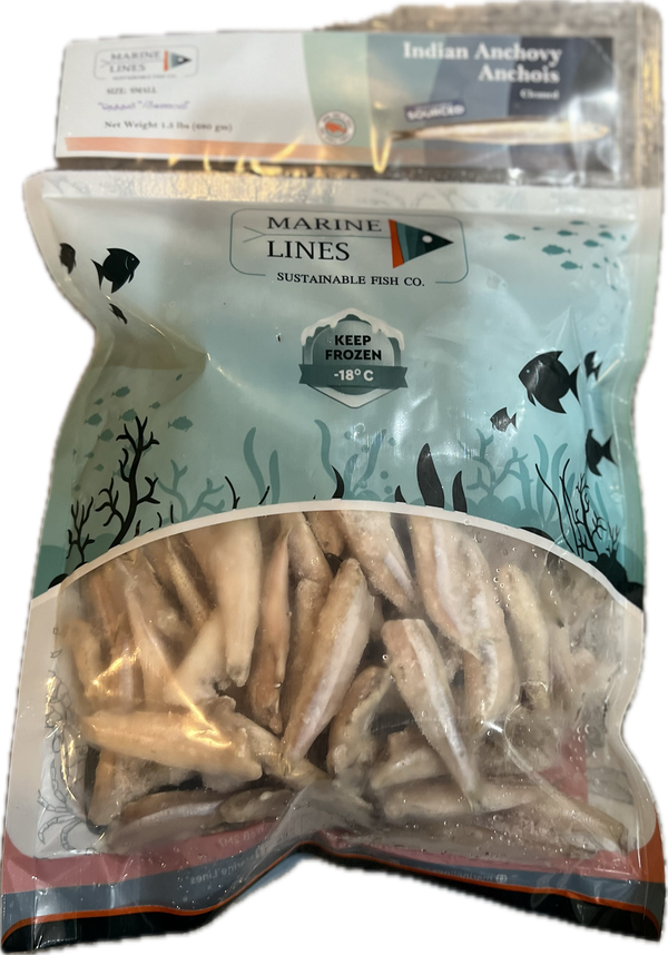 Frozen  Anchovy Cleaned (හාල්මැස්සෝ) Fish 1.5lb