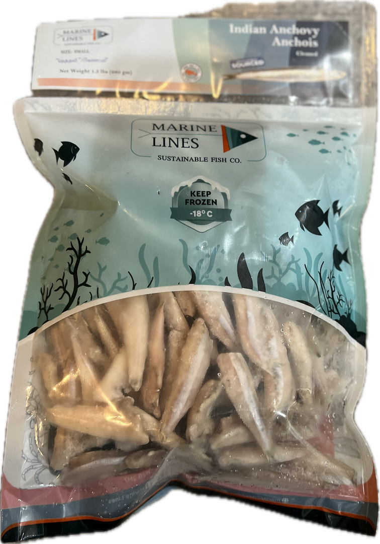 Frozen  Anchovy Cleaned (හාල්මැස්සෝ) Fish 1.5lb