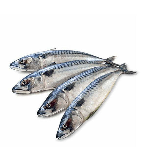 ML King Fish Steak 1.5lb