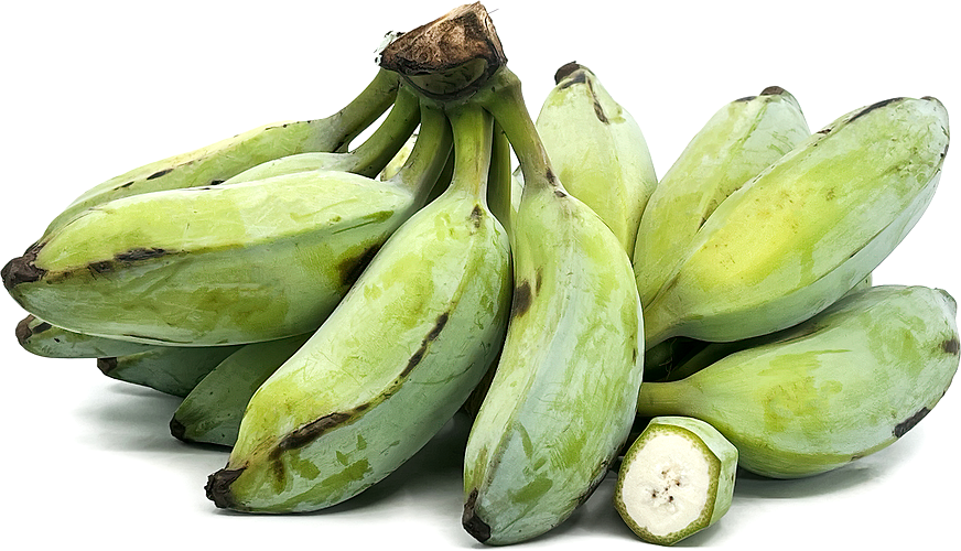 Ash Plantains